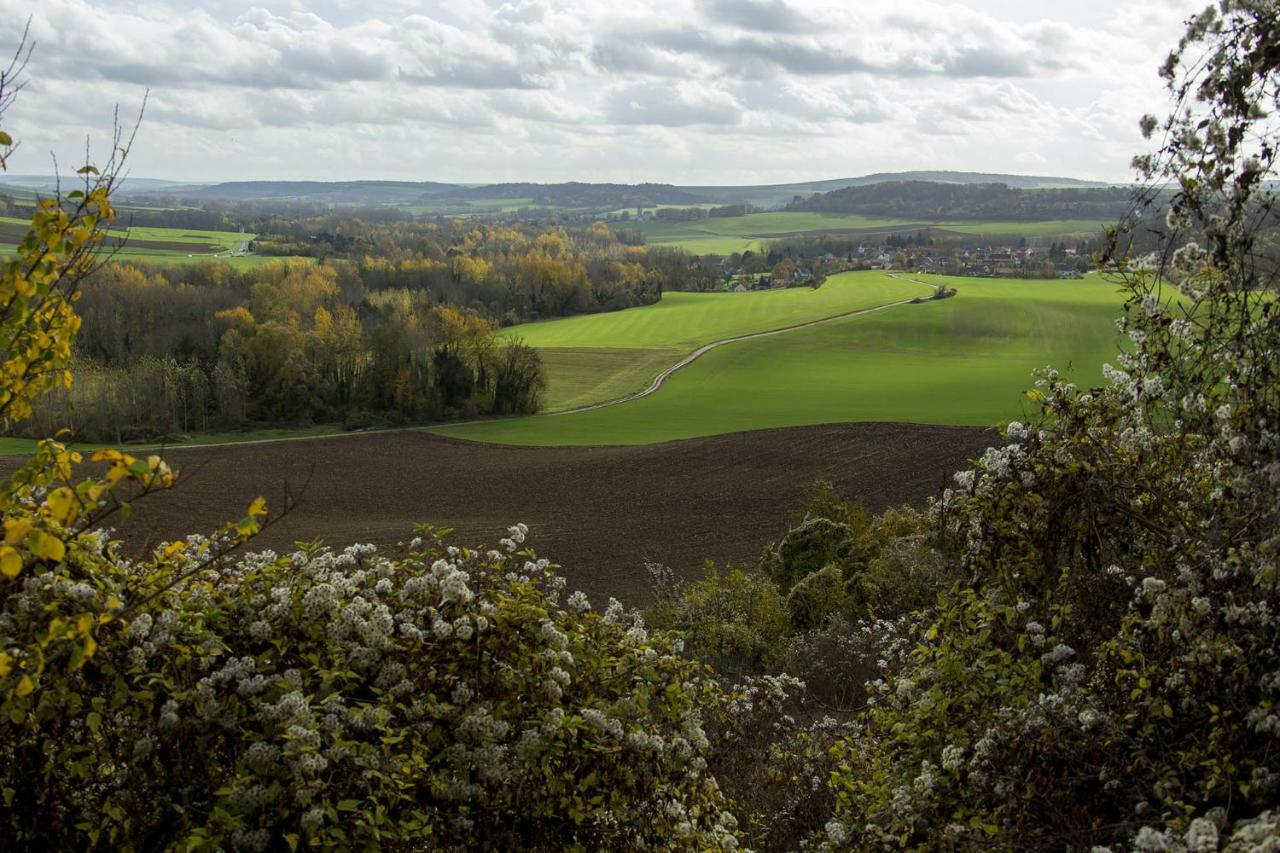 Le Lodge Des Bruyeres Mont-Notre-Dame エクステリア 写真